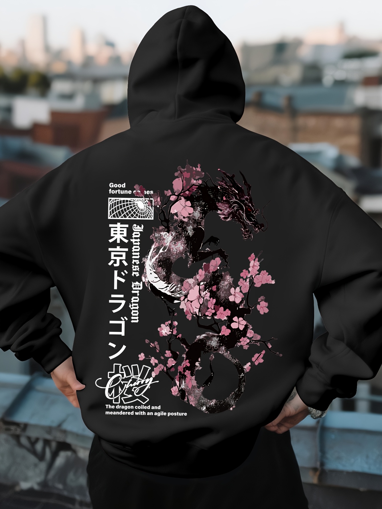 Mens Hip Hop Sports Hoodie Aes - đánh giá và giá Street Fashion Asian Men